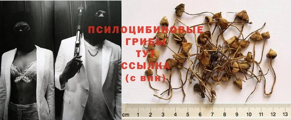 соль ск Белоозёрский